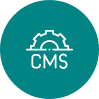 CMS Development Icon