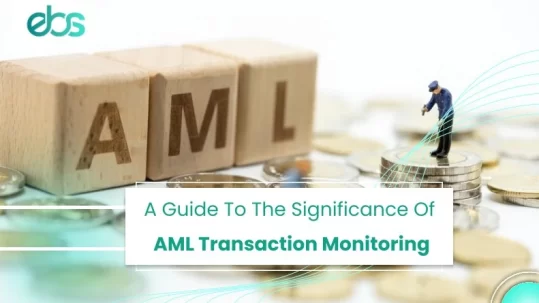 AML Transaction Monitoring