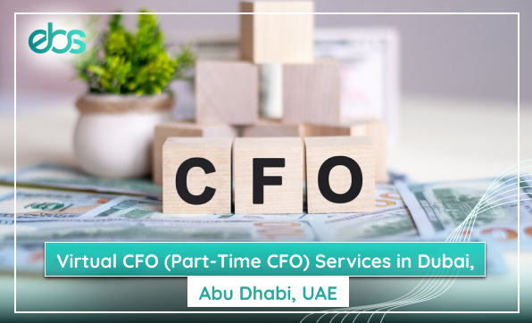 virtual cfo services in dubai, abu dhabi, uae