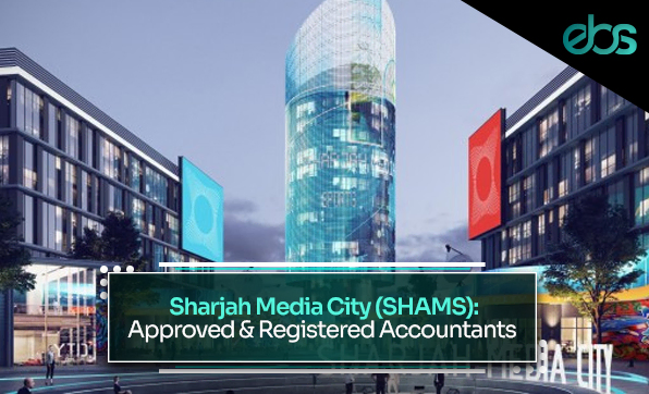 SHAMS registered accountants