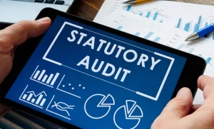statutory audit services in Dubai, statutory audit services UAE, statutory audit compliance, statutory financial audit,