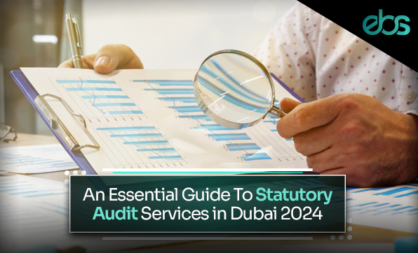 statutory audit services