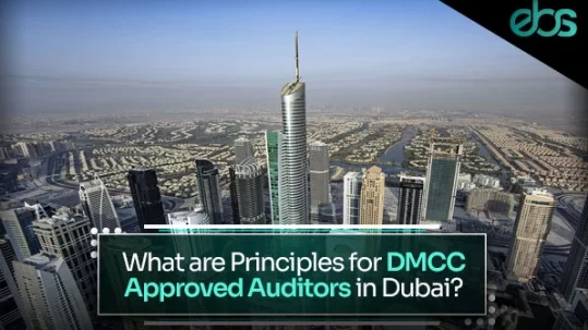 DMCC Registered Auditors