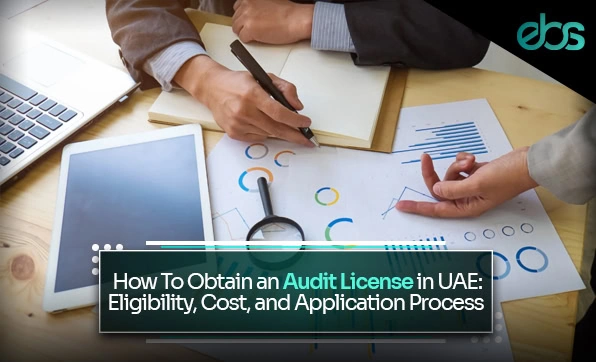 Audit license in UAE